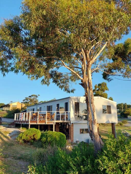 Old Salty Villa Binalong Bay Buitenkant foto